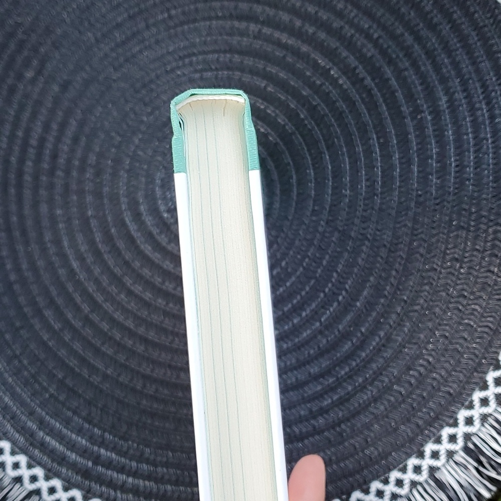 ✨️ Lightly Book - Picture 7 of 7